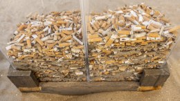 BBCT2025 – Jaap Lotstra – Scheveningen (3)