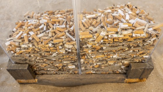 BBCT2025 – Jaap Lotstra – Scheveningen (3)