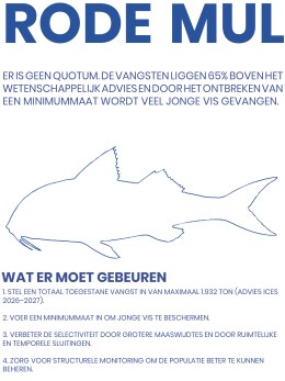 Kwetsbare vispopulaties vragen om daadkrachtig overheidsoptreden v54