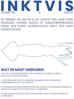 Kwetsbare vispopulaties vragen om daadkrachtig overheidsoptreden v55