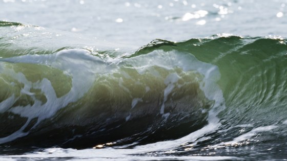 ON-DuurzameVisserij-FINAL-G2.2_00_12_07_21