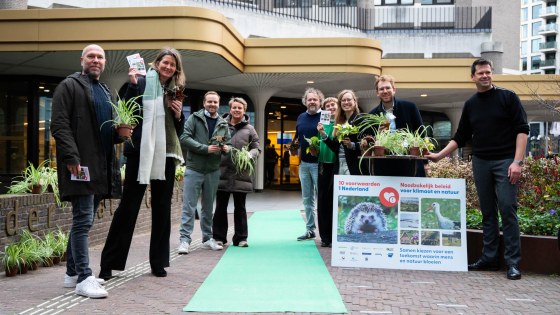 Groene loper voor de ingang van de tweede kamer met ons team klaar om tweede kamerleden te ontvangen