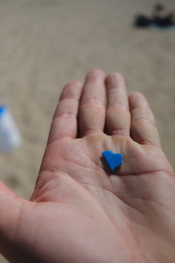 Z11 Scheveningen – Beach Cleanup Tour 2026 (35)
