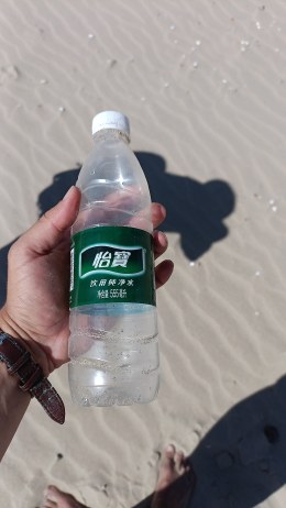 N10 Hargen aan Zee Beach Cleanup Tour 2026 (36)