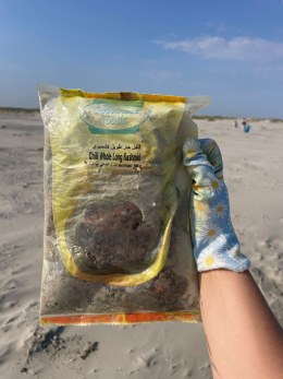N4 Ameland 2 Beach Cleanup Tour 2026 (6)