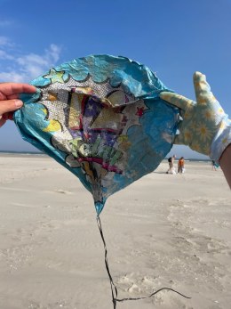 N4 Ameland 2 Beach Cleanup Tour 2026 (26)