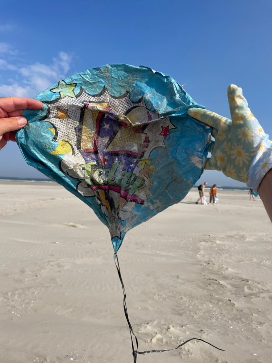 N4 Ameland 2 Beach Cleanup Tour 2026 (26)