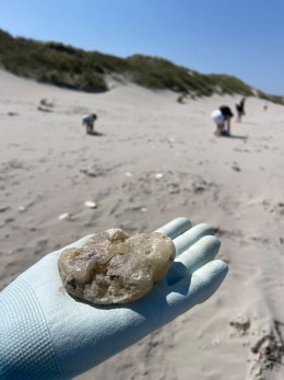 N3 Ameland 1 Beach Cleanup Tour 2026 (23)