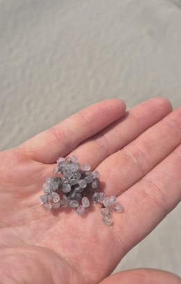 N2 Schiermonnikoog 2 Beach Cleanup Tour 2026 (1)