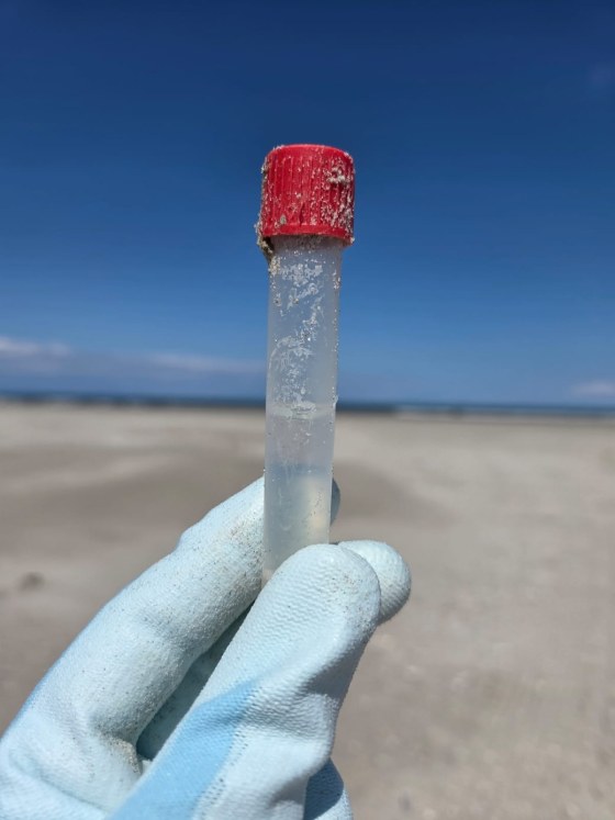 N1 Schiermonnikoog Beach Cleanup Tour 2026 (6)
