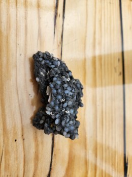 Beach Cleanup Tou 2-26 – gesmolten pellets