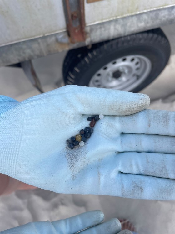 Beach Cleanup Tour 2026 – gevonden pellets